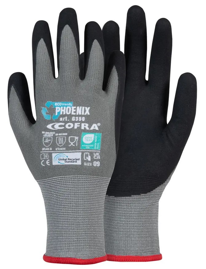 Gants de manipulation Phoenix - M1171